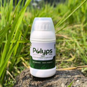 Polyps Plus
